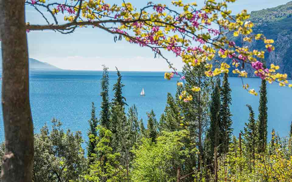 Reisen und Urlaub 2024 / 2025 April