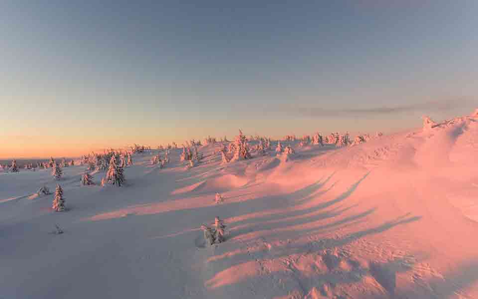 Reisen und Urlaub 2024 / 2025 Februar