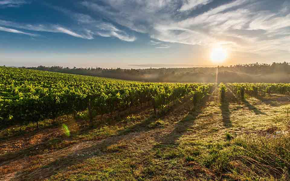 Urlaub 2024 / 2025 Italien