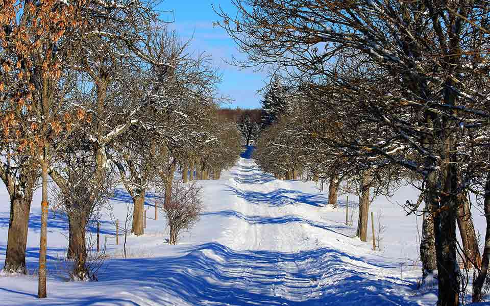 Reisen und Urlaub 2024 / 2025 Januar