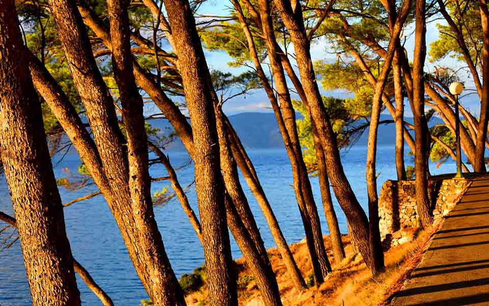 Urlaub 2024 / 2025 Kroatien