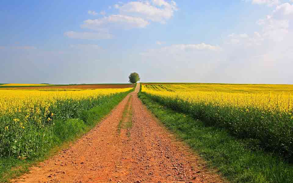 Reisen und Urlaub 2024 / 2025 Mai