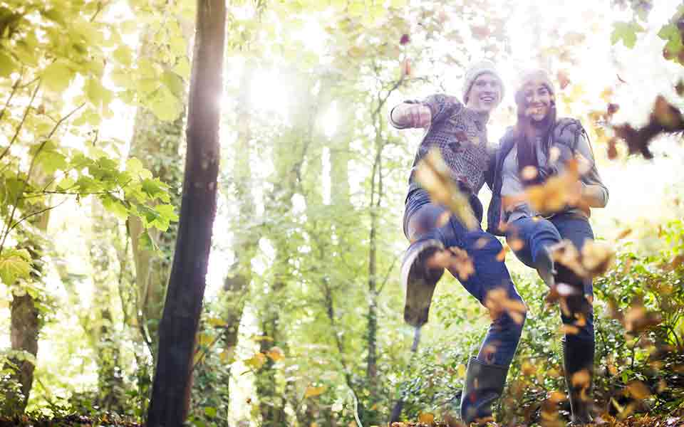 Reisen und Urlaub 2024 / 2025 November