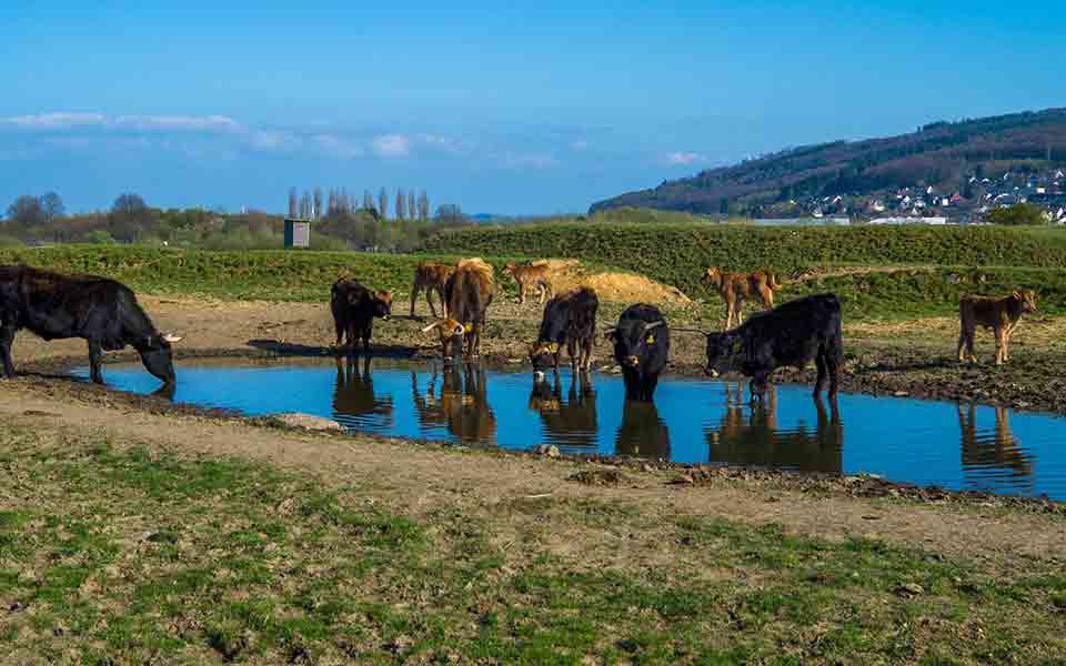 Urlaub 2024 / 2025 NRW