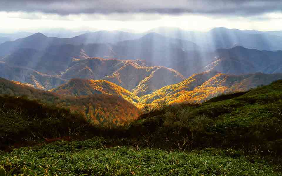 Reisen und Urlaub 2024 / 2025 Oktober