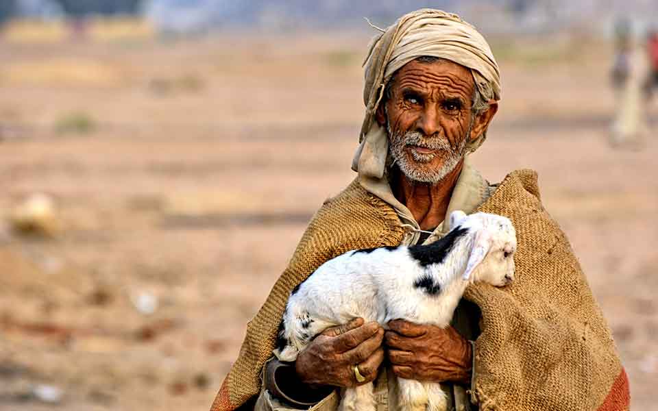 Ägypten Reisen günstig