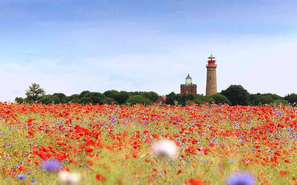 All inclusive Rügen【ᐅ】Reisen & Urlaub 2021 / 2022 buchen