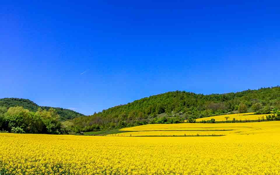 Bulgarien Urlaub günstig