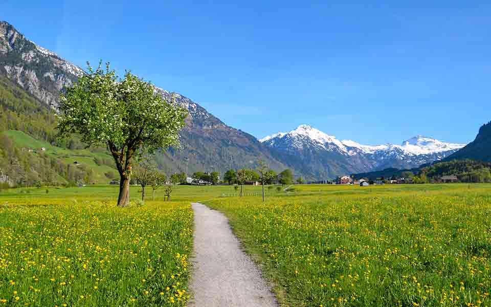 Check 24 stundelang im Preisvergleich