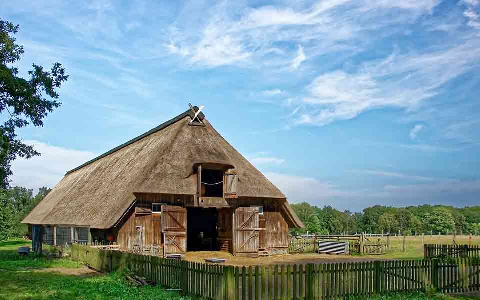 Lüneburger Heide Reisen