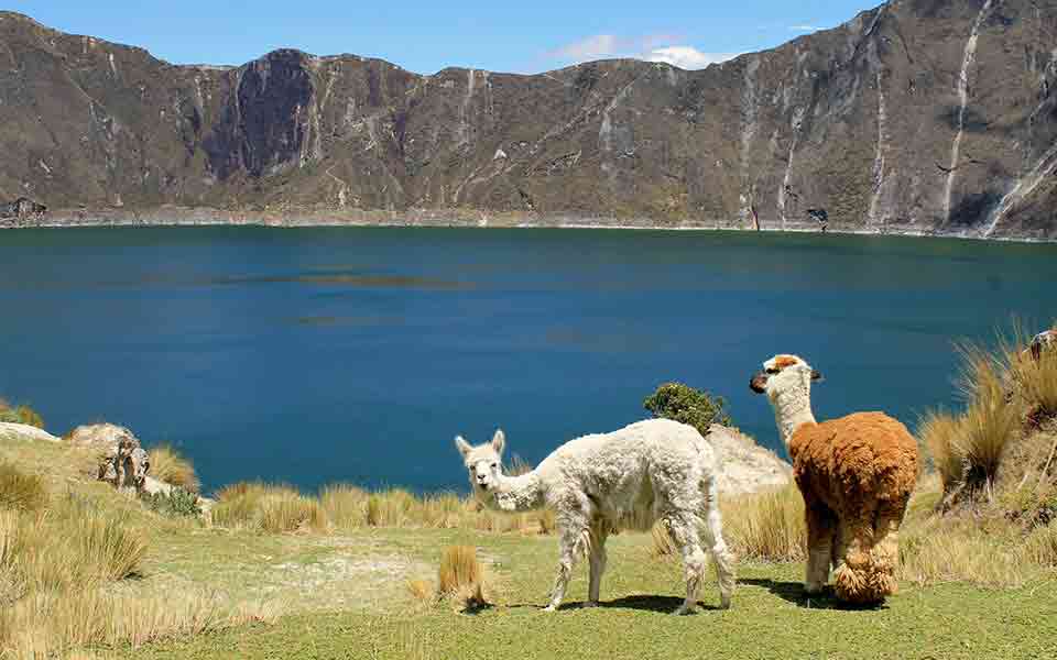 Ecuador Reisen