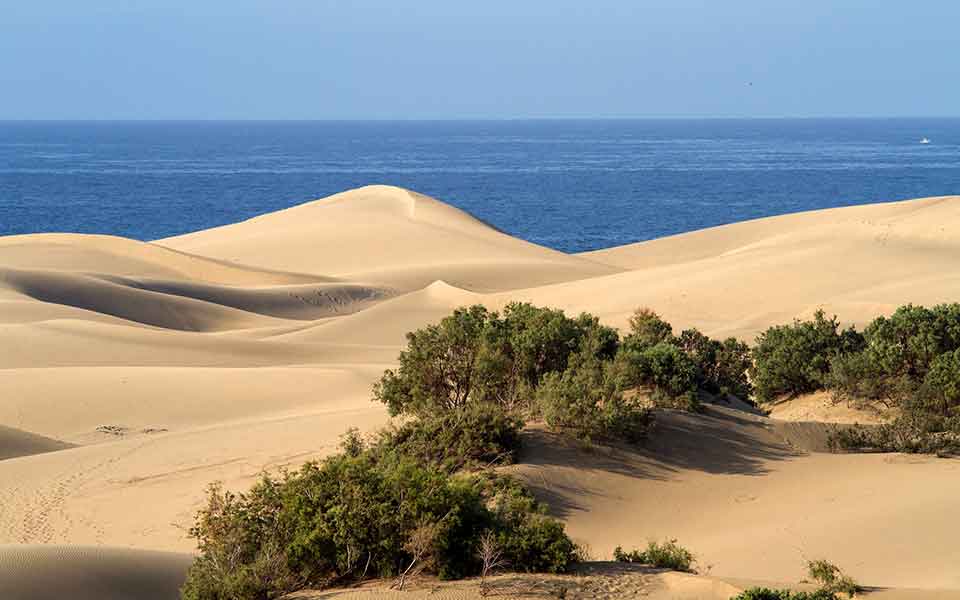 Gran Canaria Reise günstig