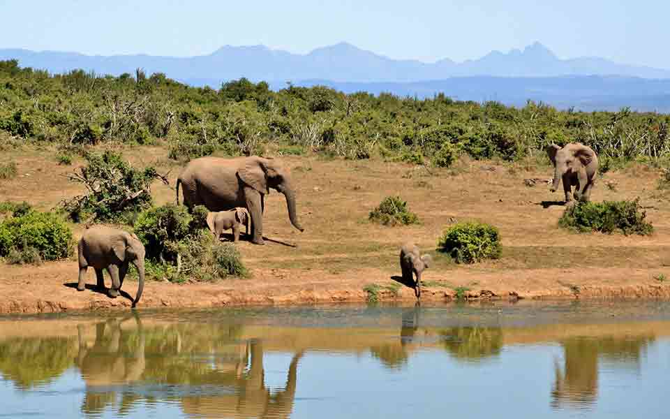 Günstige Rundreisen