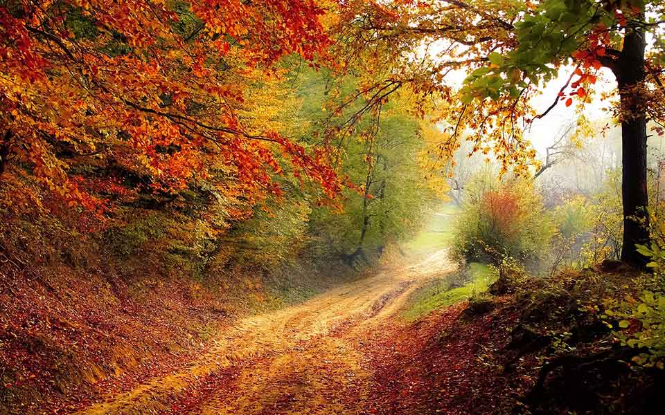 Individualreisen buchen