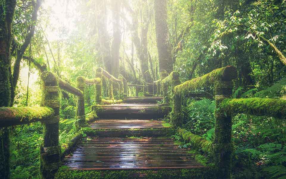 Individualreisen billig buchen