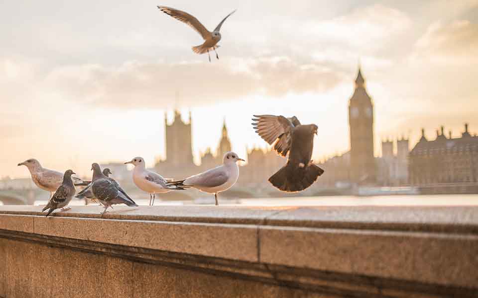 Individualreisen günstig buchen