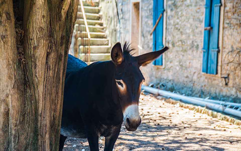 Kroatien Reisen und Urlaub