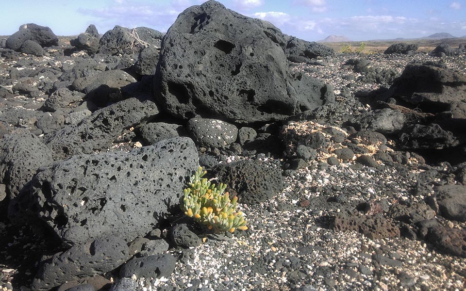 Langzeiturlaub Fuerteventura buchen