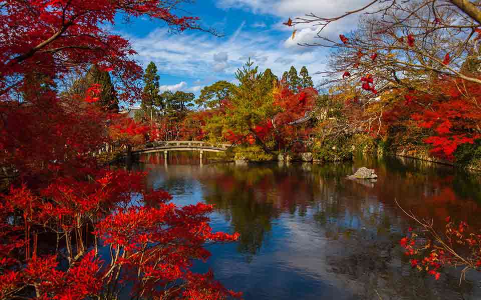 Pauschalreisen Asien