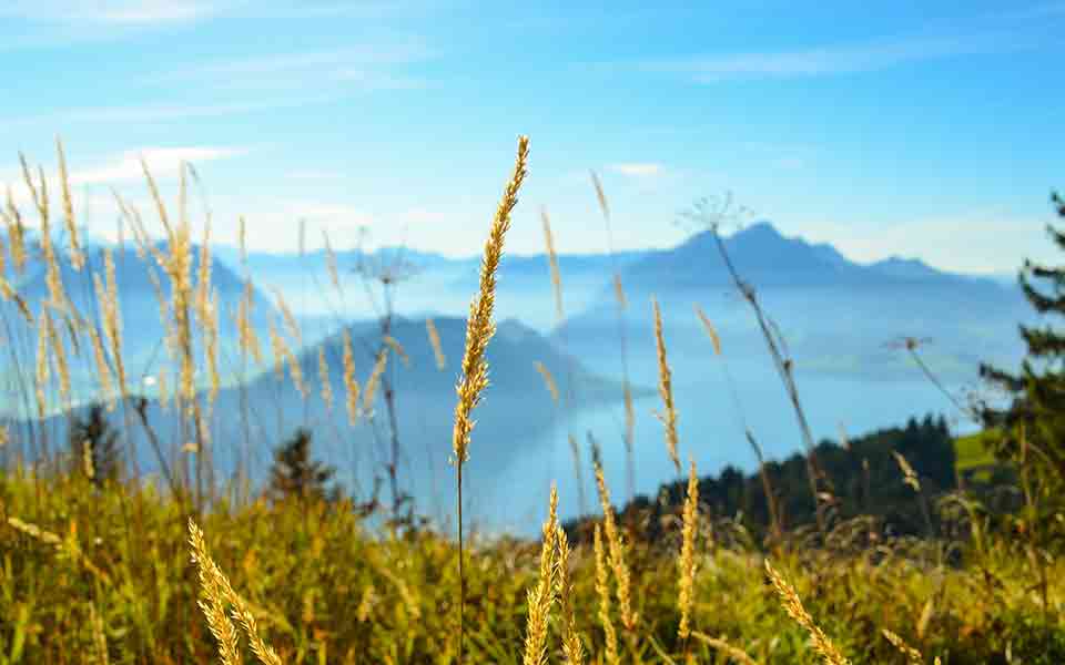 Pauschalreisen Deals