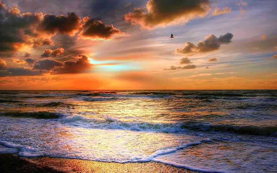 Reisen zum Goldstrand