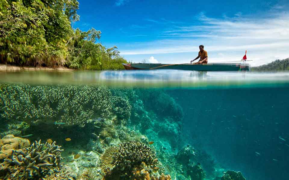 Pauschalreisen günstig finden