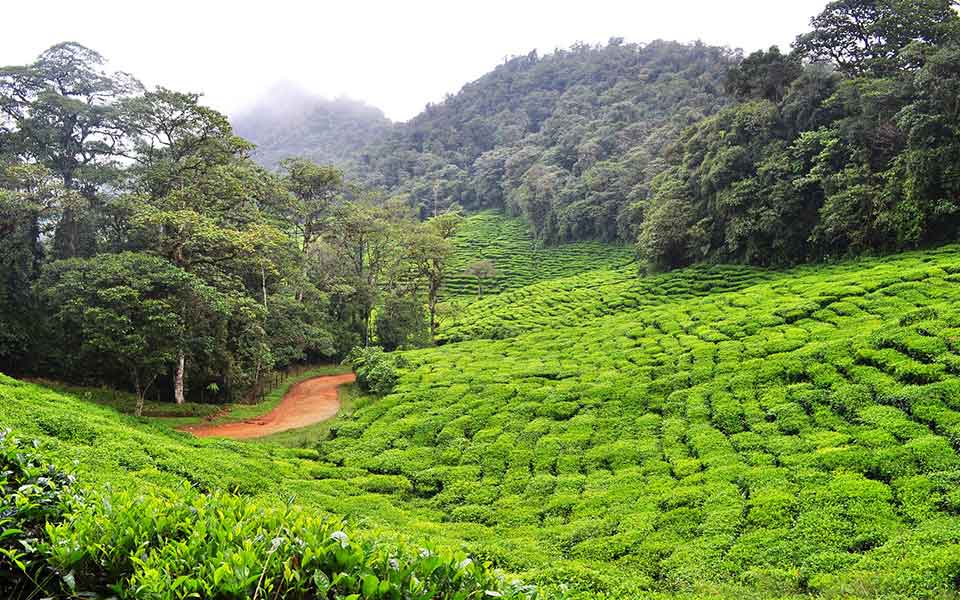 Urlaub in Kolumbien günstig buchen
