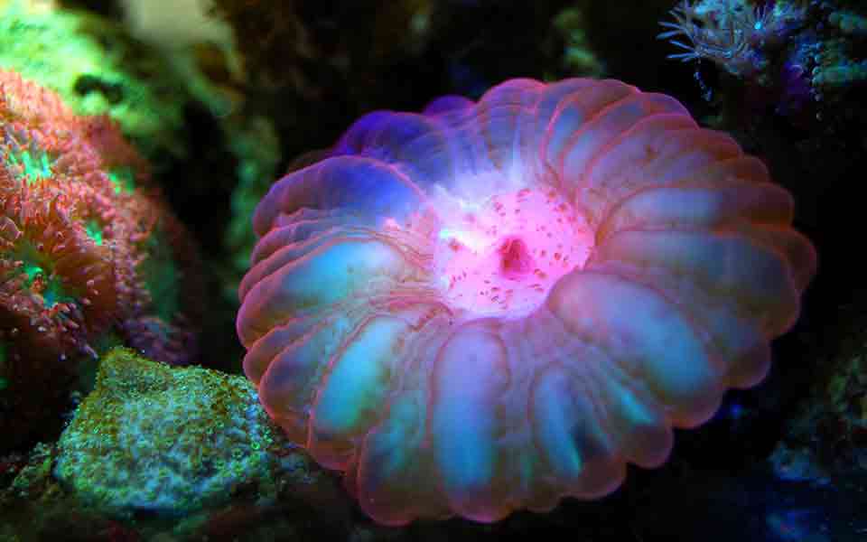 Urlaub am Roten Meer