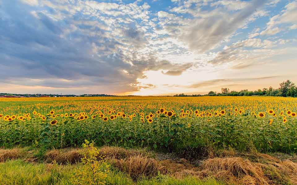Urlaub in Ungarn günstig buchen