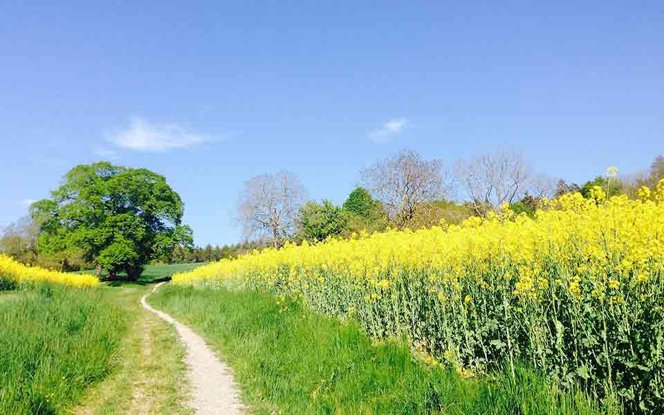  24 stundenlang Check für Urlaub