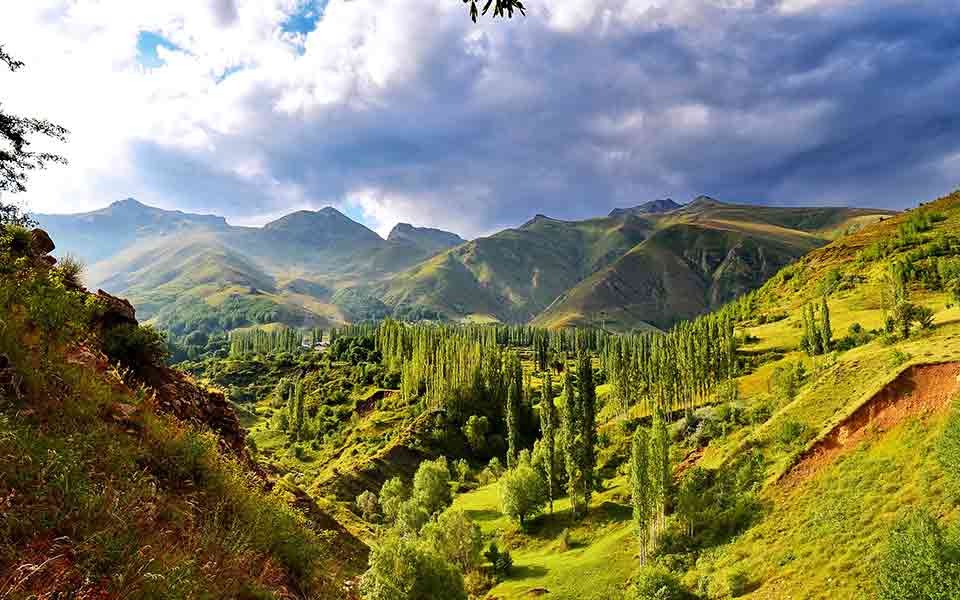 Preisvergleich Reisen billig