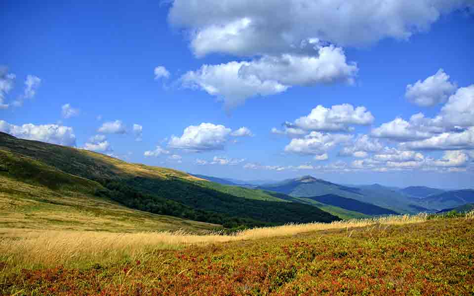 Preisvergleich Reisen günstig