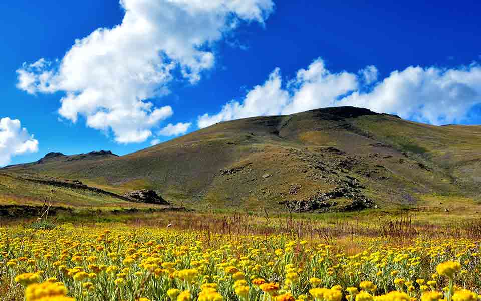 Preisvergleich Reisen