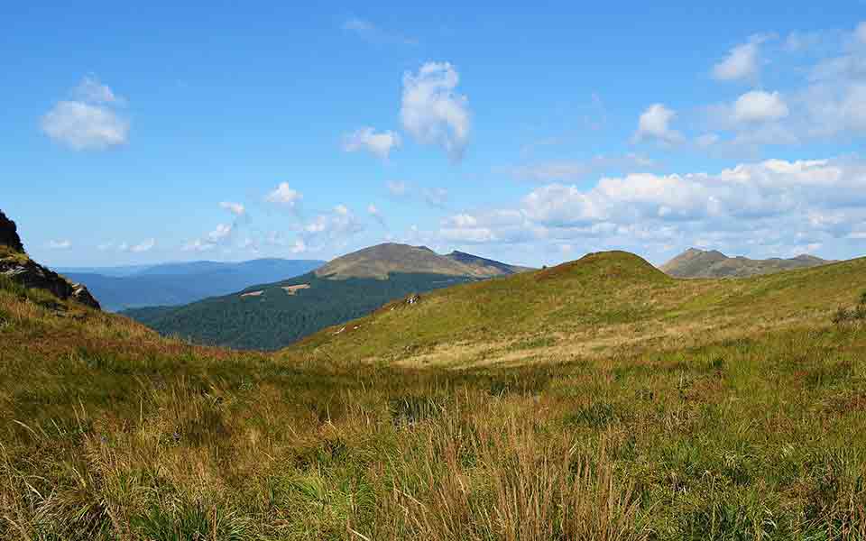 Günstige Reiseanbieter