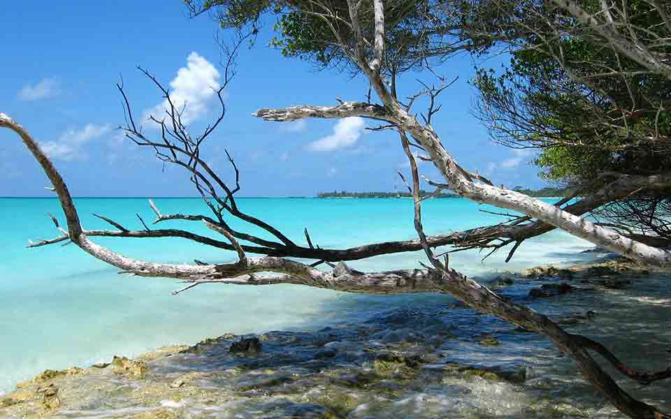 Reiseanbieter günstig buchen