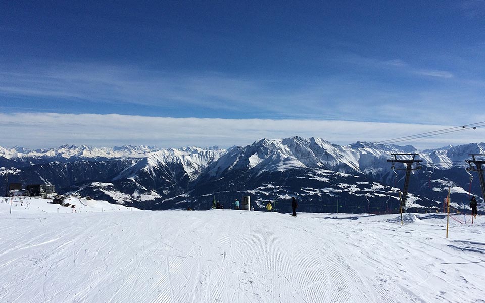 Skiurlaub mit Hund【ᐅ】2021 / 2022 buchen
