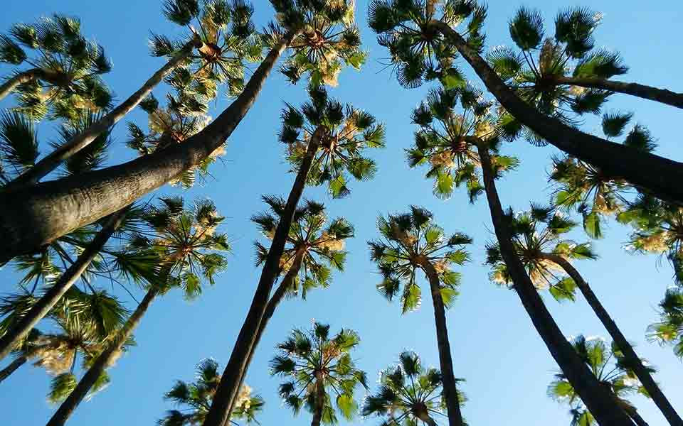 Costa del Sol Urlaub