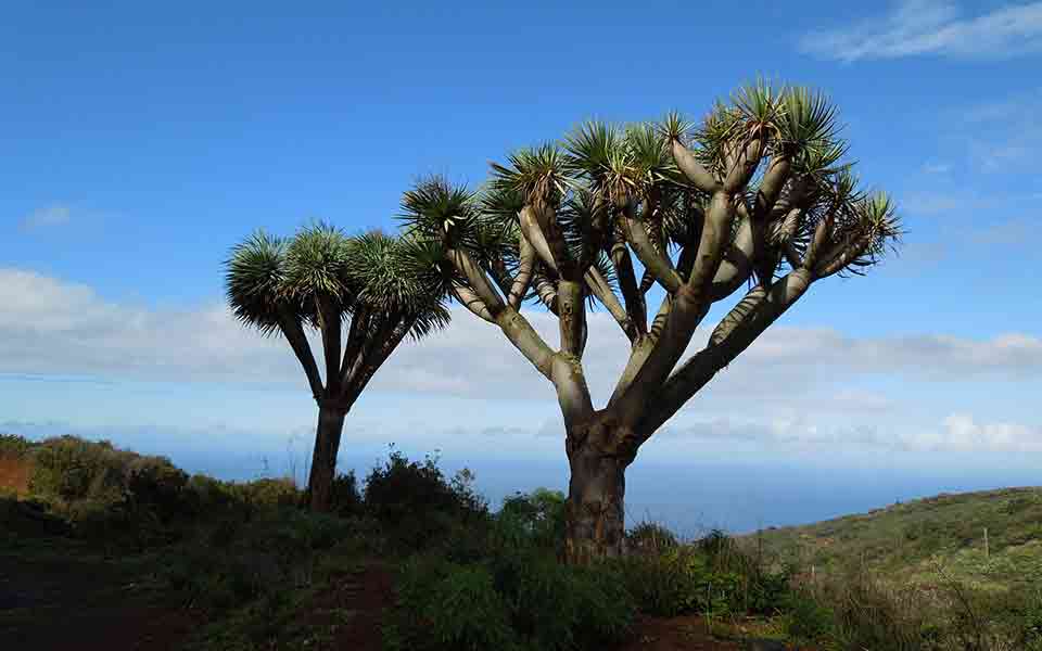 La Palma Reisen