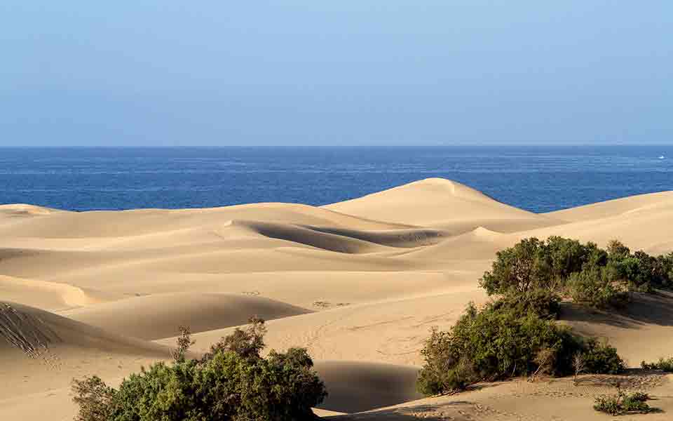 Reisen 2024 / 2025 Gran Canaria