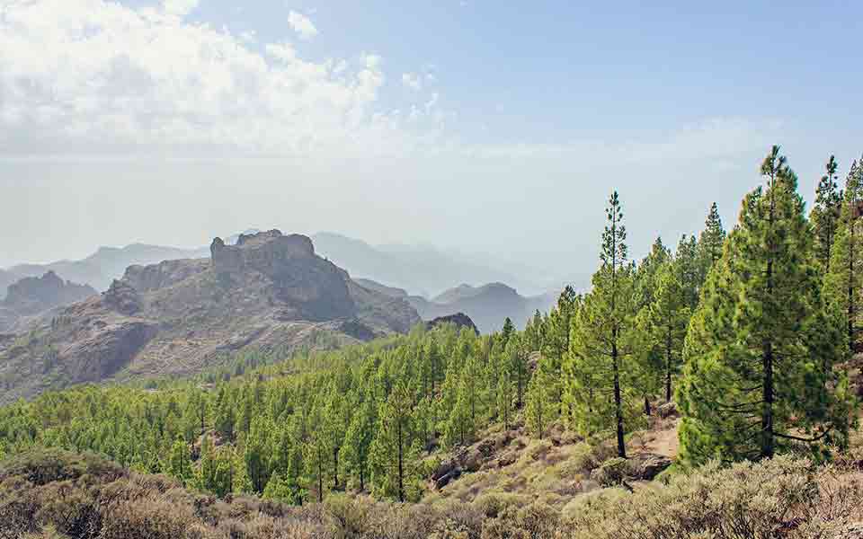 Urlaub 2024 / 2025 Gran Canaria