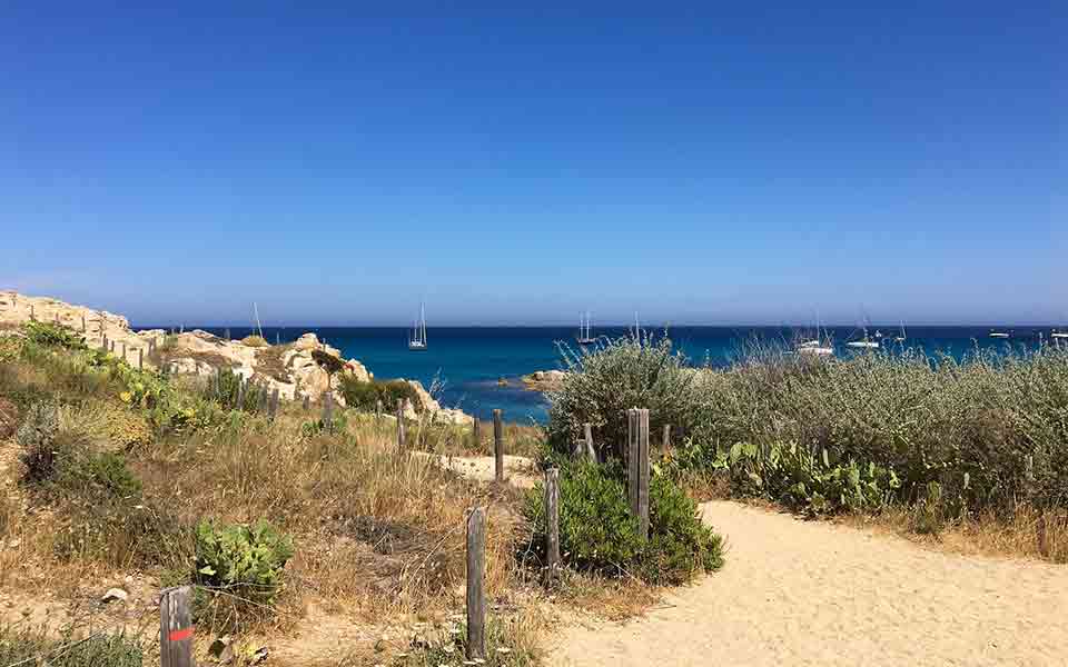 Reiseveranstalter günstig