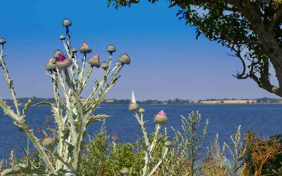 BigXtra Reisen Reiseveranstalter