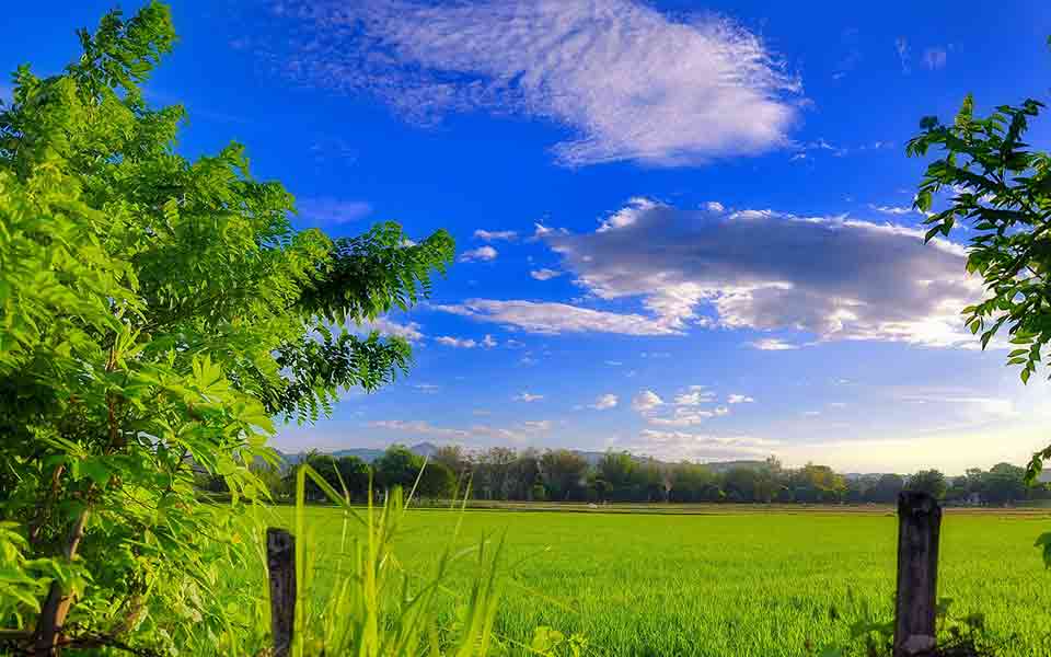 Ferien Touristik Reiseveranstalter