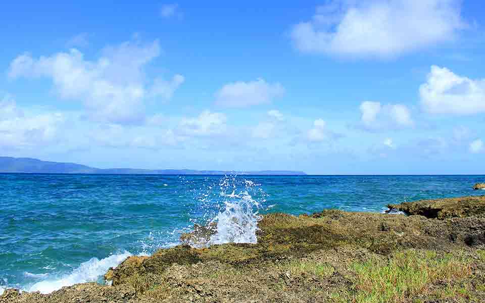 Reiseveranstalter Fox Tours