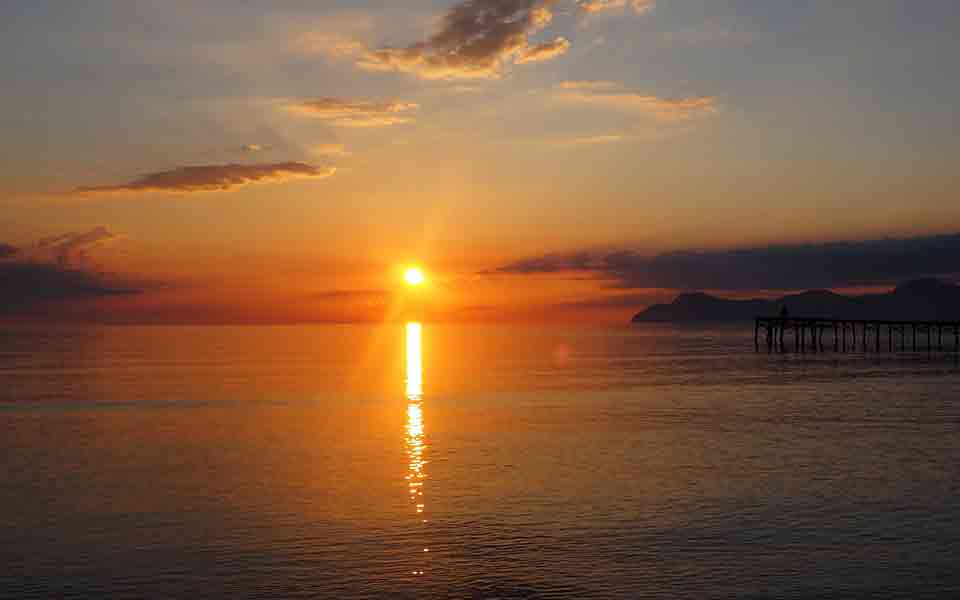 Fox Tours Reiseveranstalter