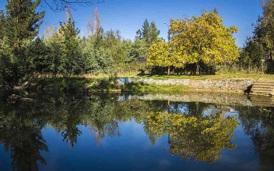 Reiseveranstalter 5 vor Flug Reisen günstig