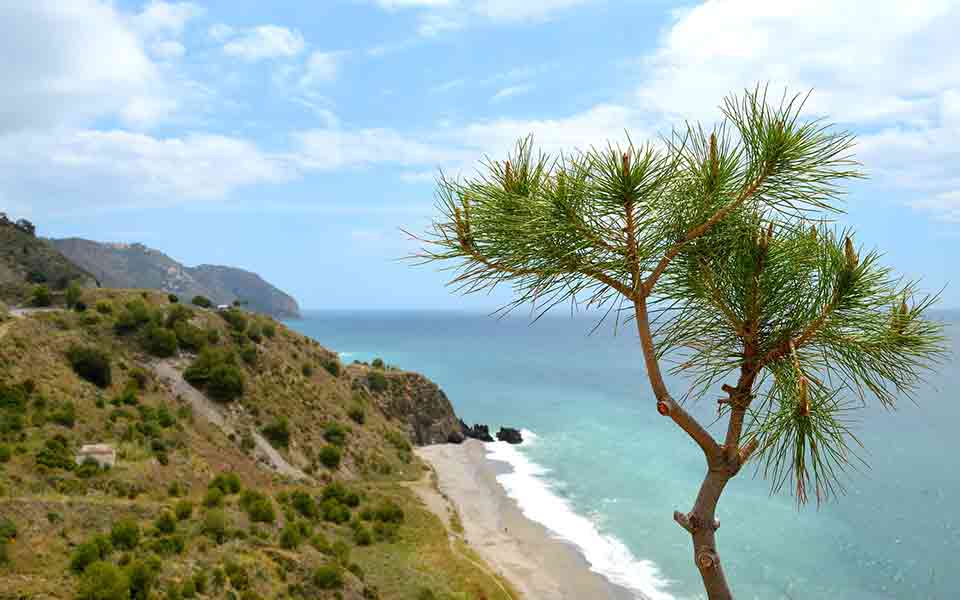 Reiseveranstalter Ibero Reisen günstig