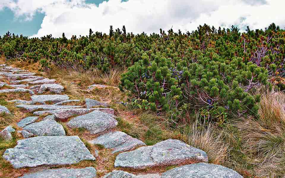 Reiseveranstalter JT günstig