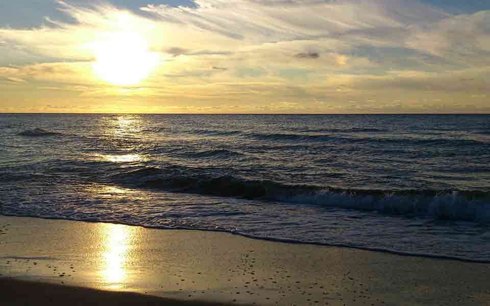 LMX Reiseveranstalter