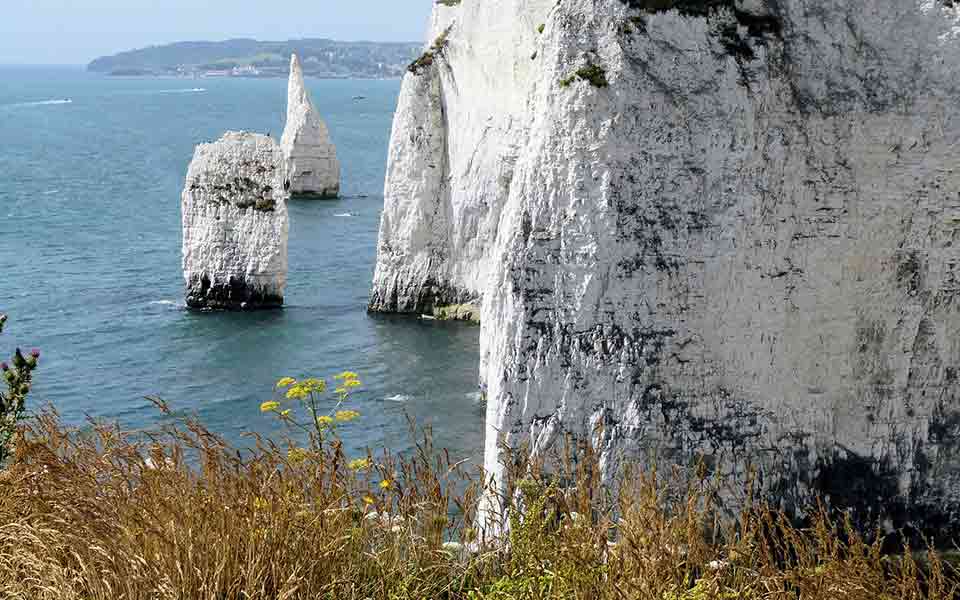 Reiseveranstalter Medina